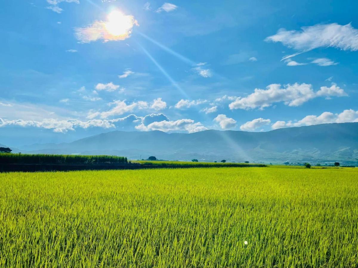 關山稻香田園民宿 Haiduan Exterior foto